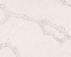 Calacatta Nuvo Calacatta Nuvo