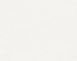 Classic White Classic White