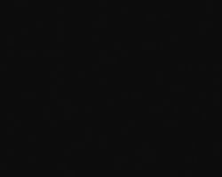 Iconic Black Iconic Black