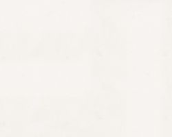 White Zeus Extreme White Zeus Extreme